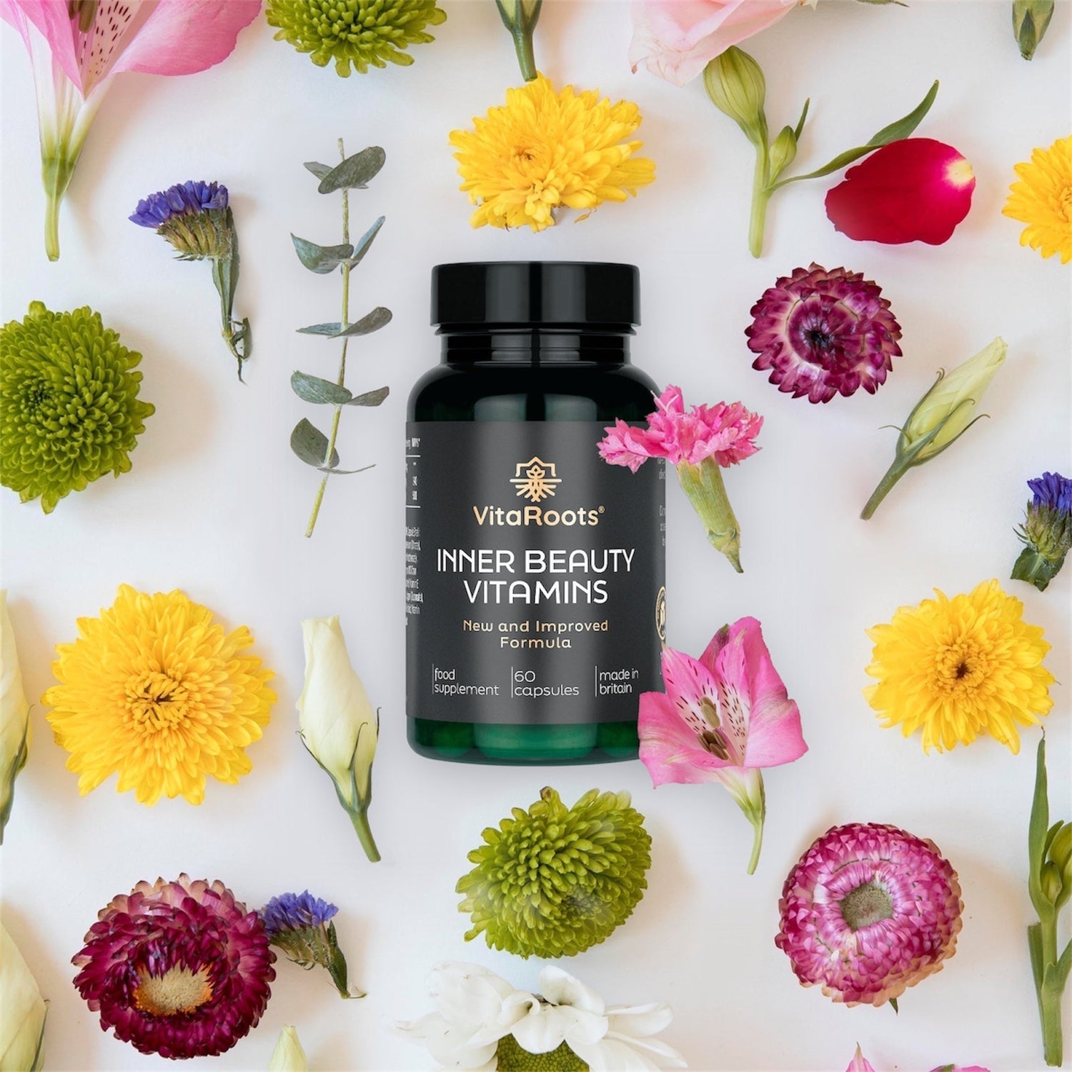 Health & Wellness