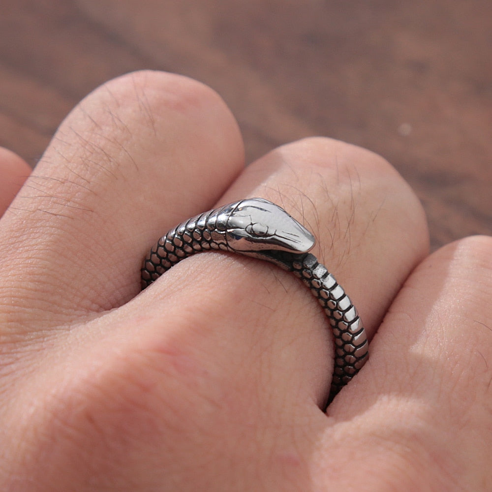 Retro Norse Mythology Ouroboros Ring