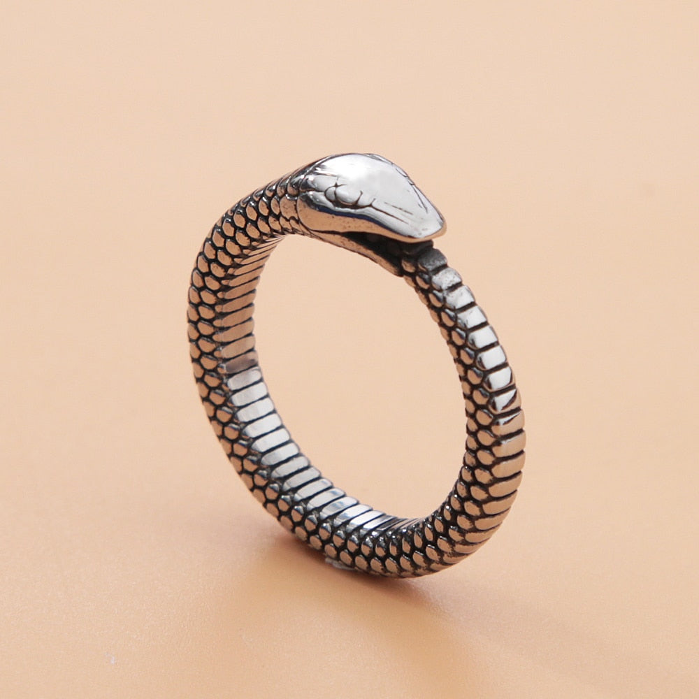 Retro Norse Mythology Ouroboros Ring